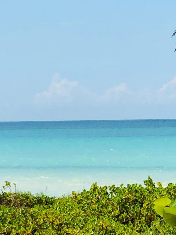 Апартаменти Cabana Colibri A 50 Metros De La Playa Ель-Куйо Екстер'єр фото